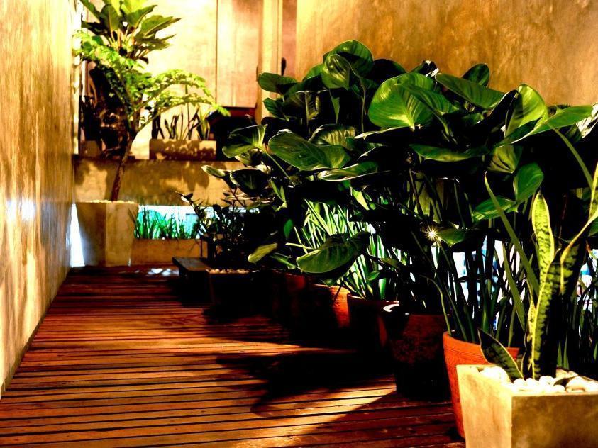 Qi 68 Hotel Chiang Mai Exterior photo
